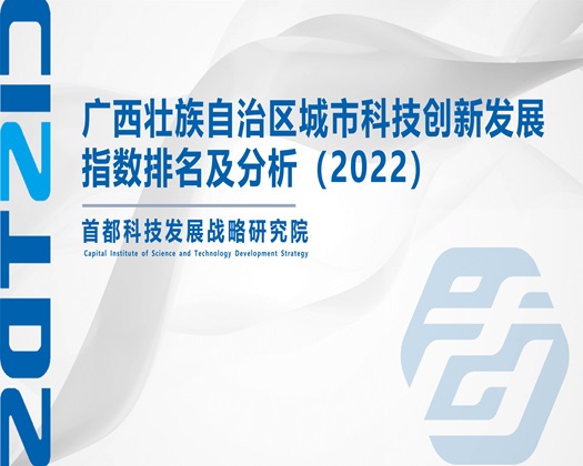 美女扣b视频网站【成果发布】广西壮族自治区城市科技创新发展指数排名及分析（2022）